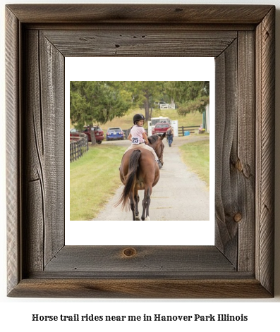 horse trail rides near me in Hanover Park, Illinois